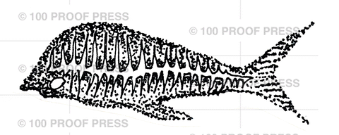 6728 Fossil Fish