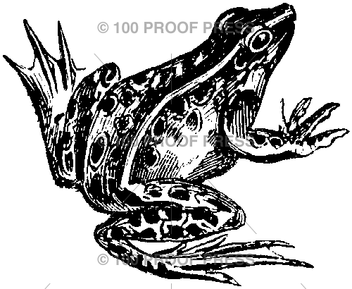 673 Frog