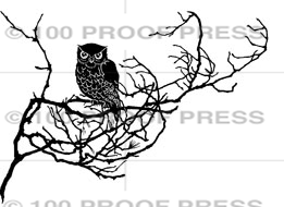 6748 Owl on Branch