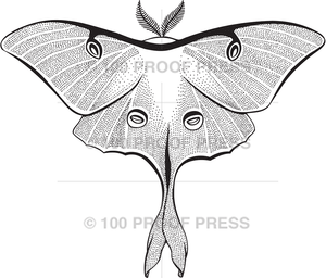 6769 Large Luna Moth