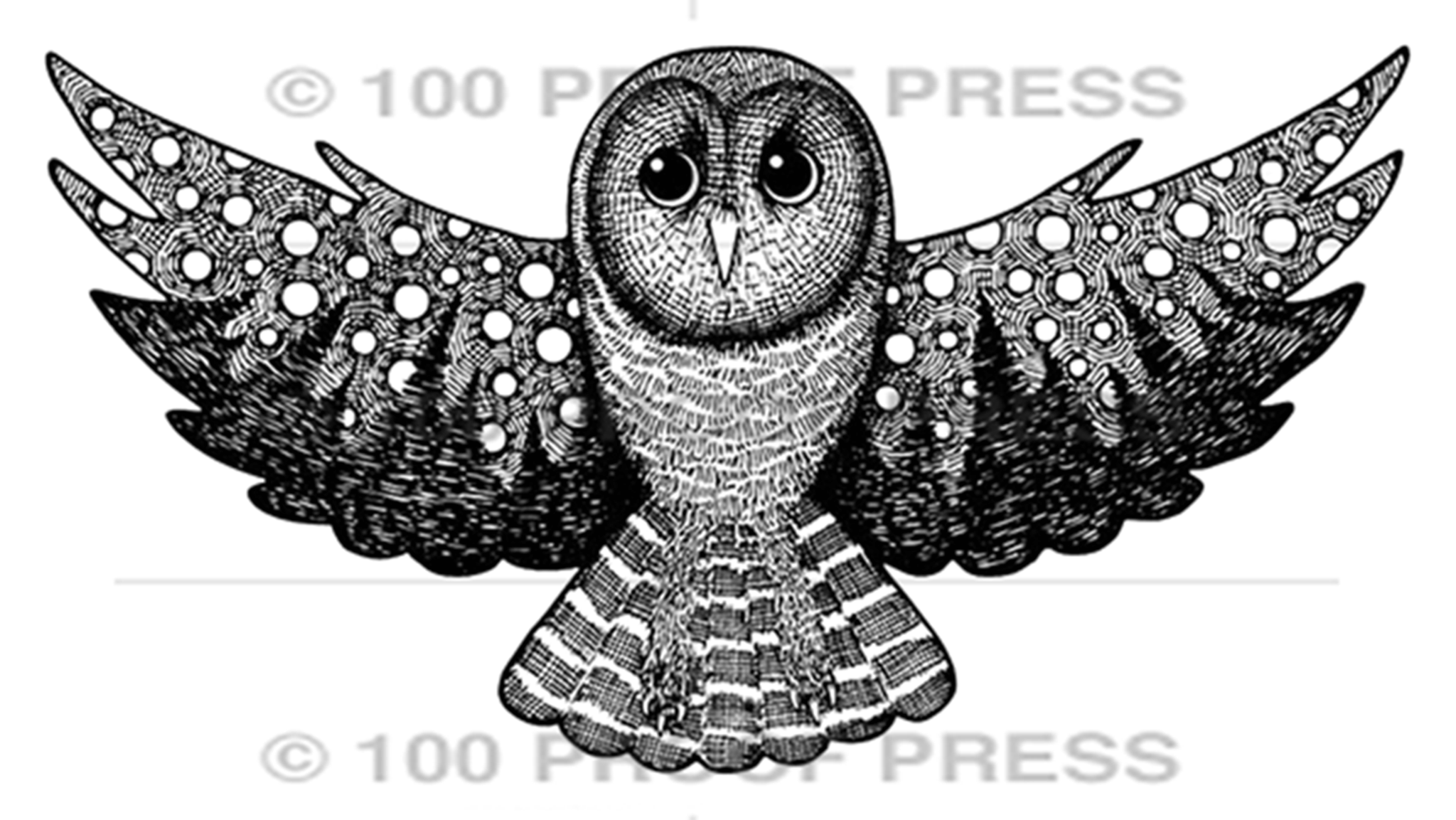 6809 Starry Night Owl