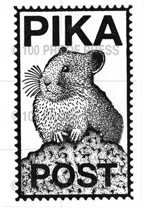 6816 Pika Post