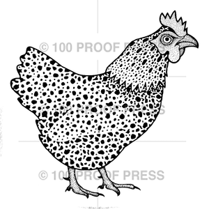 6840 Spotted Rooster