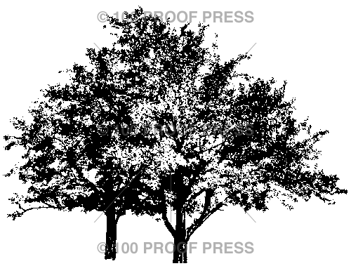 874 2 Trees Silhouette