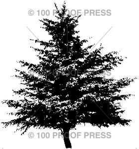 877 Spruce Tree Silhouette