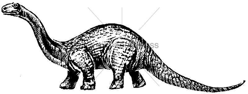950 Brontosaurus
