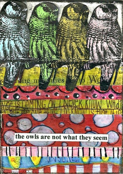3882 Shy Owl